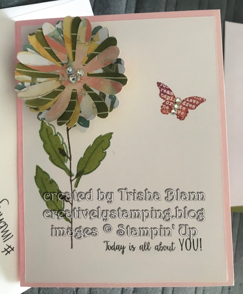 Delightful Daisy/Beautiful Peacock